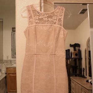 Beautiful Pink Blush Lace Seamed Bebe Dress, Size 8